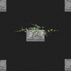 SueduTree_Vol.21