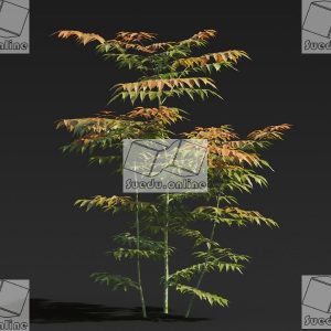 SueduTree_Vol.27