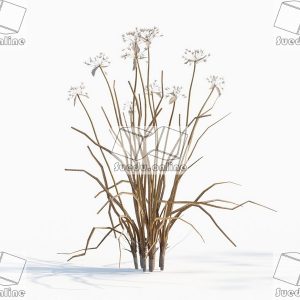 SueduTree_Vol.43