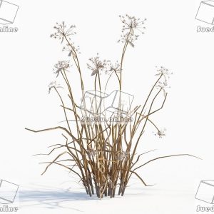 SueduTree_Vol.43