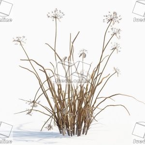 SueduTree_Vol.43