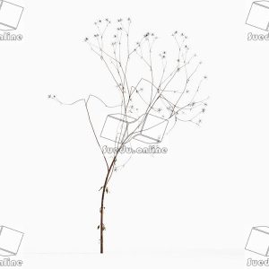SueduTree_Vol.43