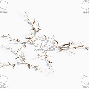 SueduTree_Vol.43