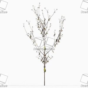 SueduTree_Vol.43