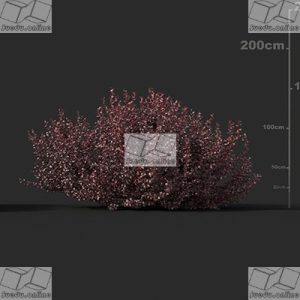 SueduTree_Vol.45