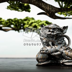 BONSAI_SUEDU_TREE_06 (VIP MEMBER)