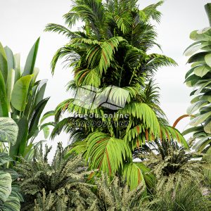 TREE TUB_TREE_SUEDU_1