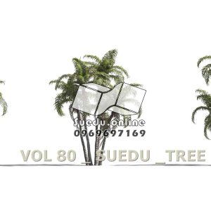 Suedu_Tree_V80_Arctostaphylos_hurd