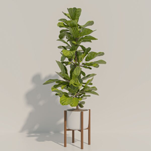 SUEDU_PLANT_11+12 ( FREE )